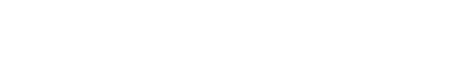 Wolbert Consulting Group